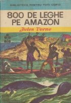 800 leghe Amazon