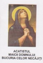 Acatistul Maicii Domnului - Bucuria celor necajiti