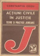 Actiuni civile justitie Teorie practica