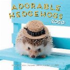 Adorable Hedgehogs 2020