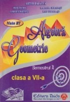Algebra, Geometrie, Clasa a VII-a - Semestrul I (2013)