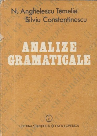 Analize gramaticale