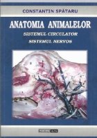 Anatomia animalelor. Sistemul circulator. Sistemul nervos