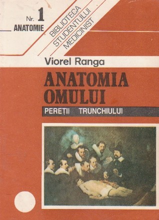 Anatomia omului. Peretii trunchiului
