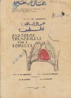 Anatomia trunchiului Volumul Toracele