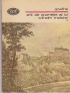 Anii Drumetie lui Wilhelm Meister