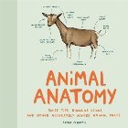 Animal Anatomy