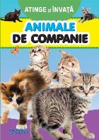 Animale de companie : atinge & învaţă