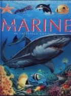 Animale marine intelesul copiilor