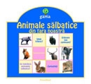 Animale salbatice din tara noastra