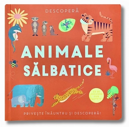 Animale sălbatice : priveşte înăuntru şi descoperă!