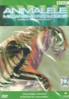 coperta Animalele. Mecanisme fiziologice / Animals. The inside story (DVD Video)