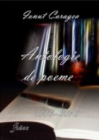 coperta Antologie de Poeme 2006-2012