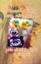 Armonia dintre trup minte suflet