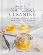 Art Natural Cleaning