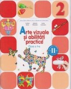 Arte vizuale abilitati practice (Manual