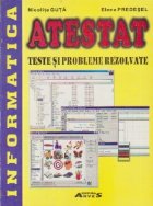 Atestat Teste probleme rezolvate