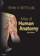 Atlas Human Anatomy 4th edition