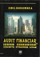 Audit Financiar Concepte Standarde Norme