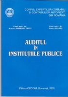 Auditul in institutiile publice