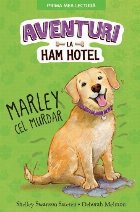 Aventuri Ham Hotel Marley cel