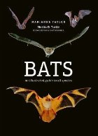 Bats