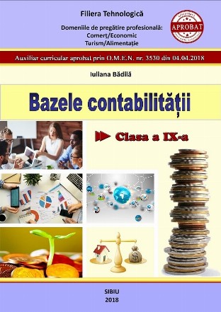 Bazele contabilitatii. Clasa a IX-a
