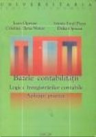 Bazele contabilitatii- Logica inregistrarilor contabile