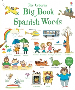Big book of Spanish words