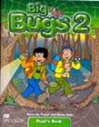 Big Bugs Flashcards