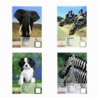 coperta Bloc de desen ilustrat A3 10 File Set 2