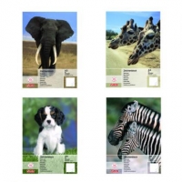 Bloc de desen ilustrat A3 10 File Set 2