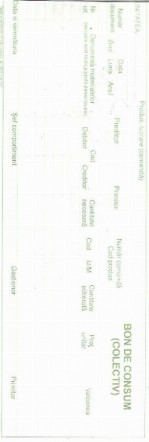 Bon de Consum (Colectiv) autocopiativ mare