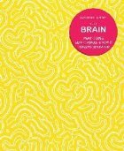 Brain