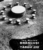 Brancusi Targu Jiu