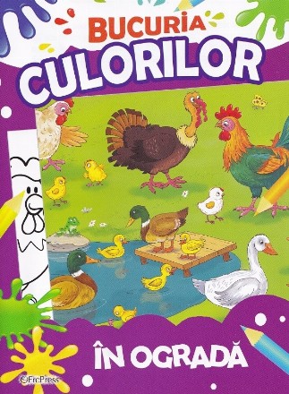 Bucuria culorilor - În ogradă