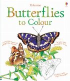 Butterflies colour
