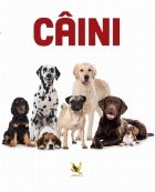 Caini Animale companie
