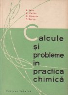 coperta Calcule si probleme in practica chimica