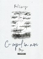 coperta Cu capul în nori : poezii