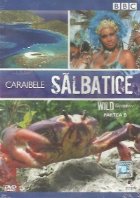 coperta Caraibele salbatice / Wild Caribbean, Partea B (DVD Video)