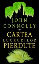 Cartea lucrurilor pierdute