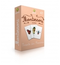 Carti de joc Montessori. Insecte din Romania