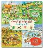 Caută şi găseşte! : Anotimpurile