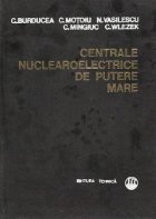 Centrale nuclearoelecrice putere mare