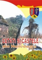 CETATI CASTELE DIN HUNEDOARA