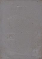 coperta Chimia organica, Manual pentru clasa a XI-a