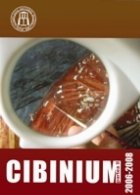 Cibinium 2006-2008 - Partea a II-a