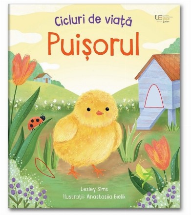 Cicluri de viaţă : Puişorul