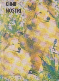 Ciinii nostri - Buletin documentar Nr. 3 / Anul al VIII-lea